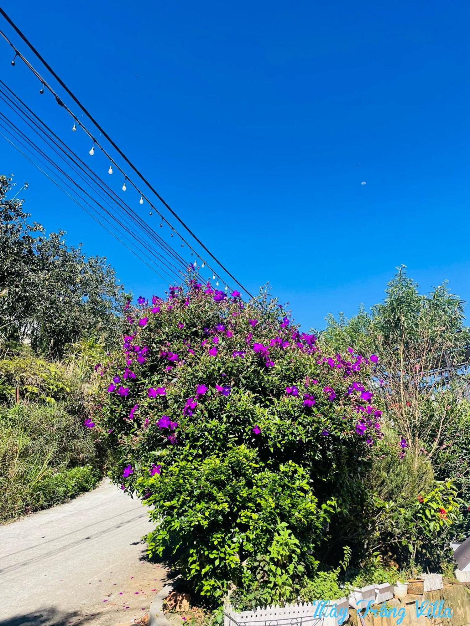 May Trang Villa Da Lat Dış mekan fotoğraf