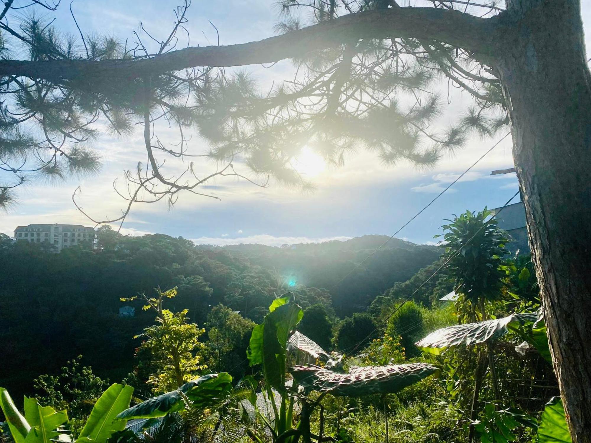 May Trang Villa Da Lat Dış mekan fotoğraf